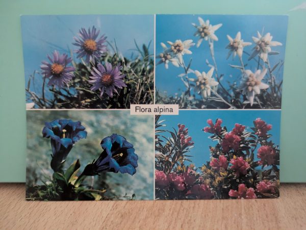 Postkarte "Flora Alpina"