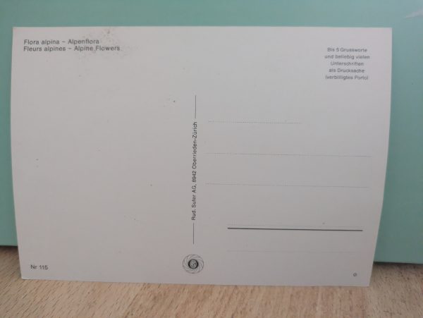 Postkarte "Flora Alpina" – Bild 2