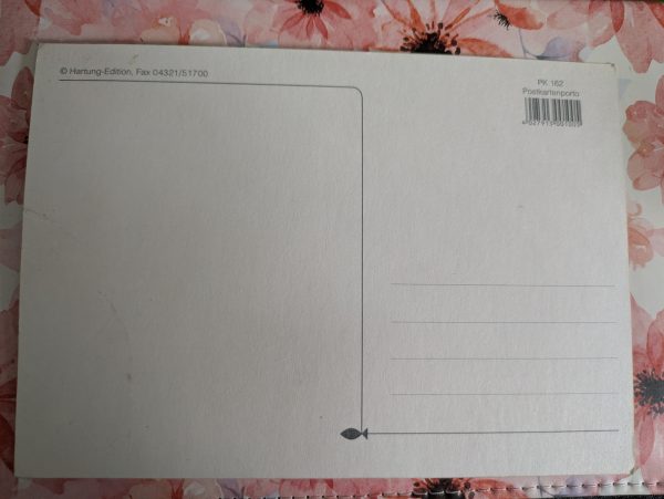 Postkarte Möwen – Bild 2