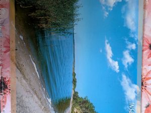 Postkarte "Insel Usedom"